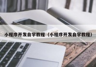 小程序开发自学教程（小程序开发自学教程）