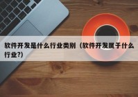 软件开发是什么行业类别（软件开发属于什么行业?）