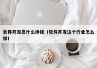 软件开发靠什么挣钱（软件开发这个行业怎么样）