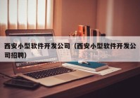 西安小型软件开发公司（西安小型软件开发公司招聘）